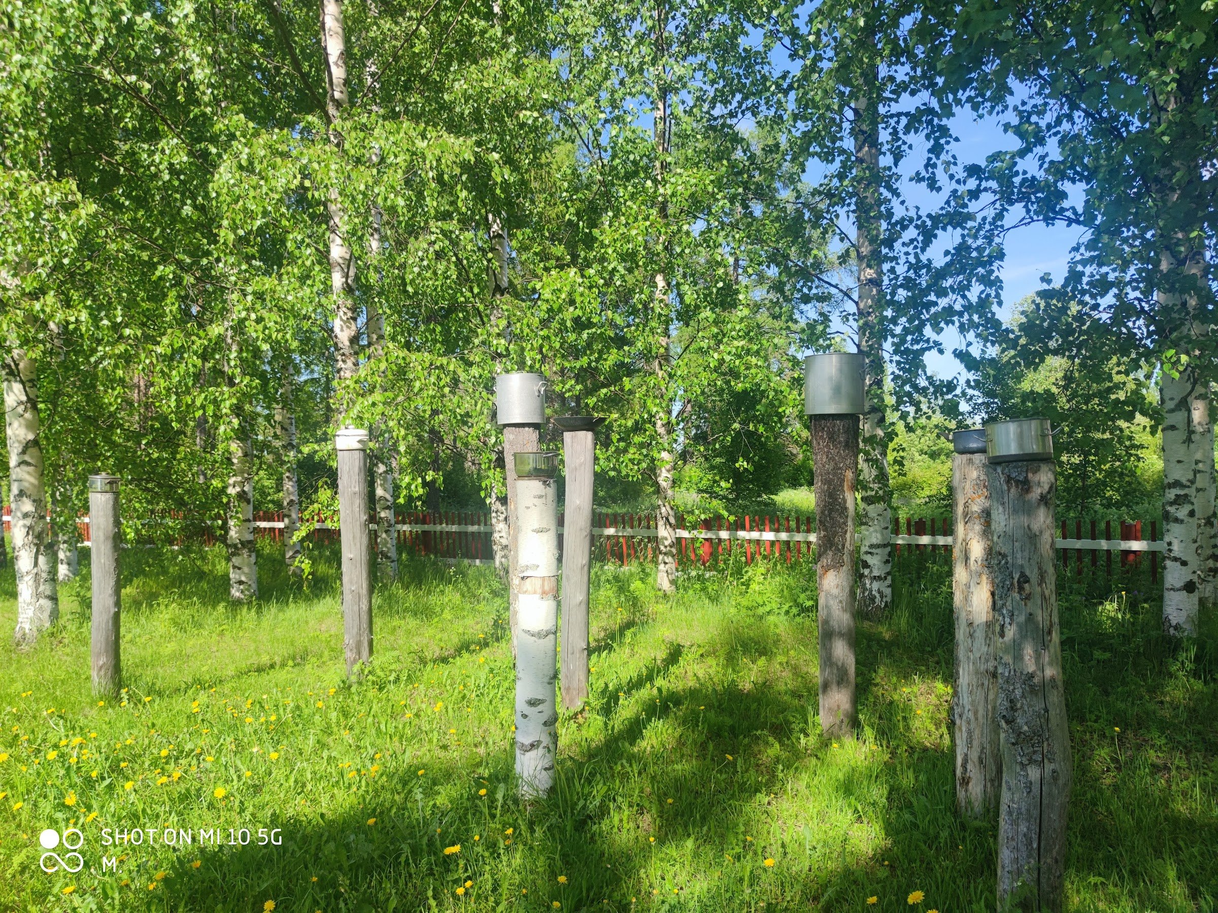 Ii Environmental Art Park